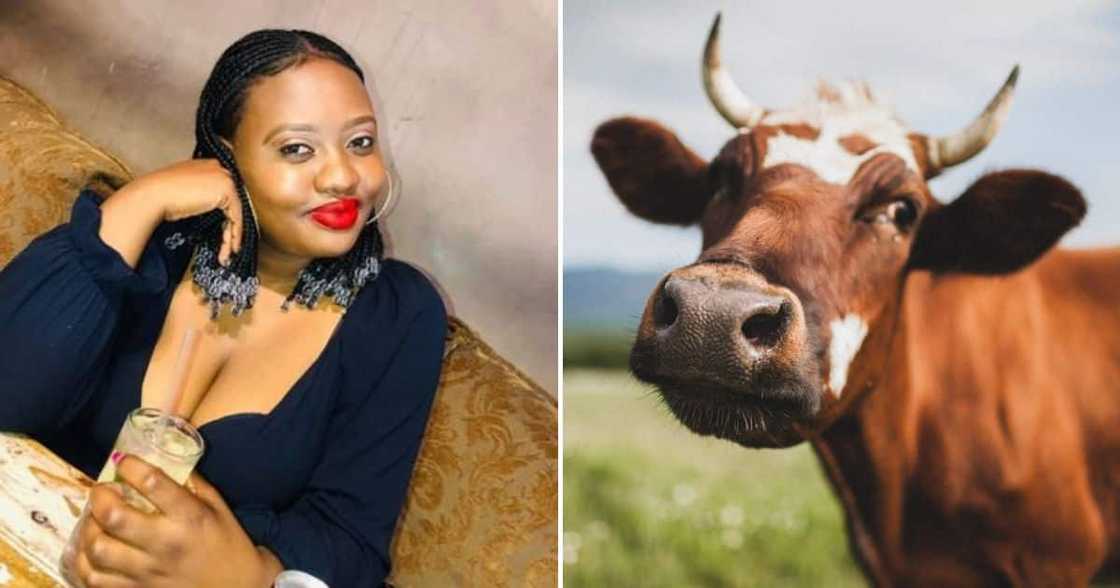 Woman, Head Meat Dish, Bae, Mzansi Woman, Head Meat Dish, Bae, Mzansi