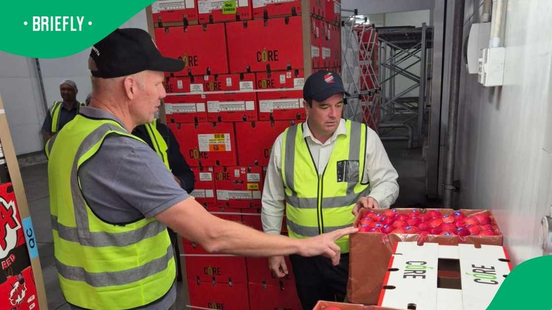 John Steenuisen watched as a Ceres apple grower prepared a shipment to Thailand John Steenuisen watched as a Ceres apple grower prepared a shipment to Thailand