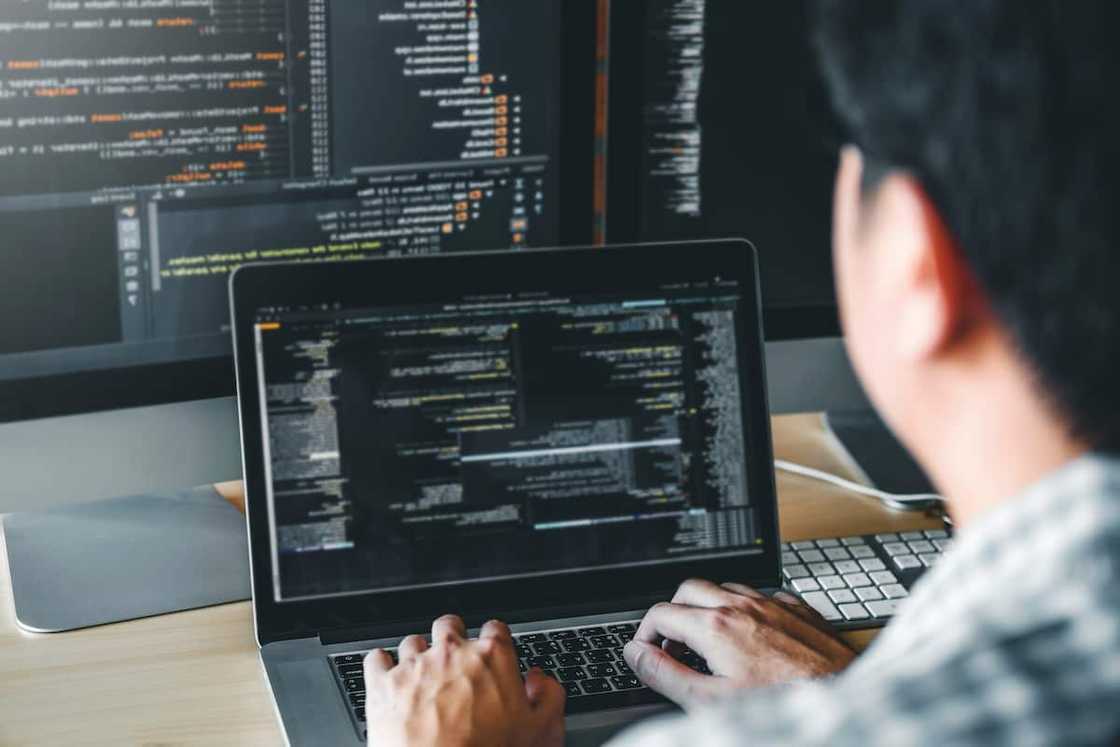 A programmer working on software A programmer working on software