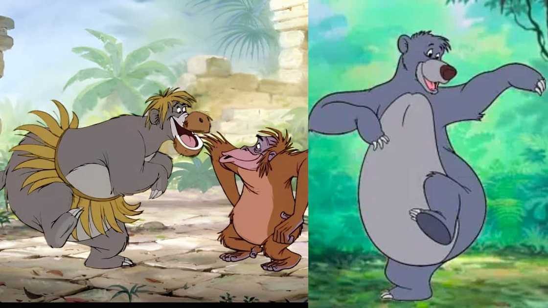 Baloo from Disney's The Jungle Book Baloo from Disney's The Jungle Book