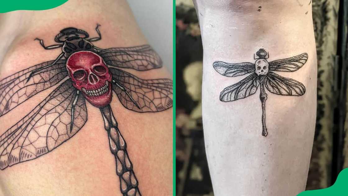 Skull dragonfly tattoo Skull dragonfly tattoo
