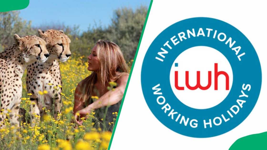 volunteer organizations in South Africa volunteer organizations in South Africa