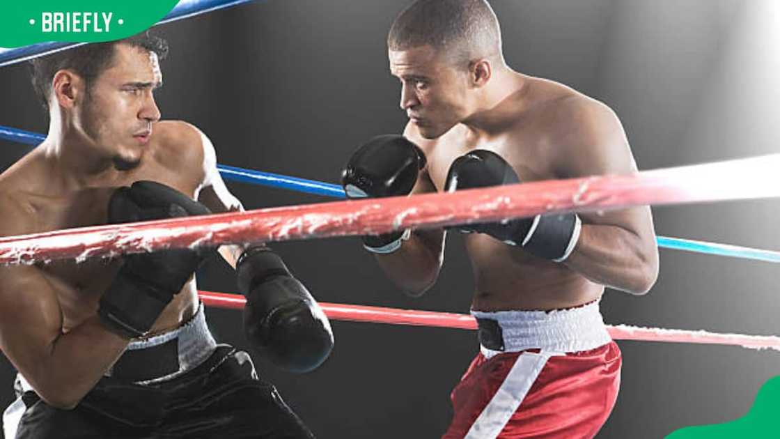 Boxers in action Boxers in action