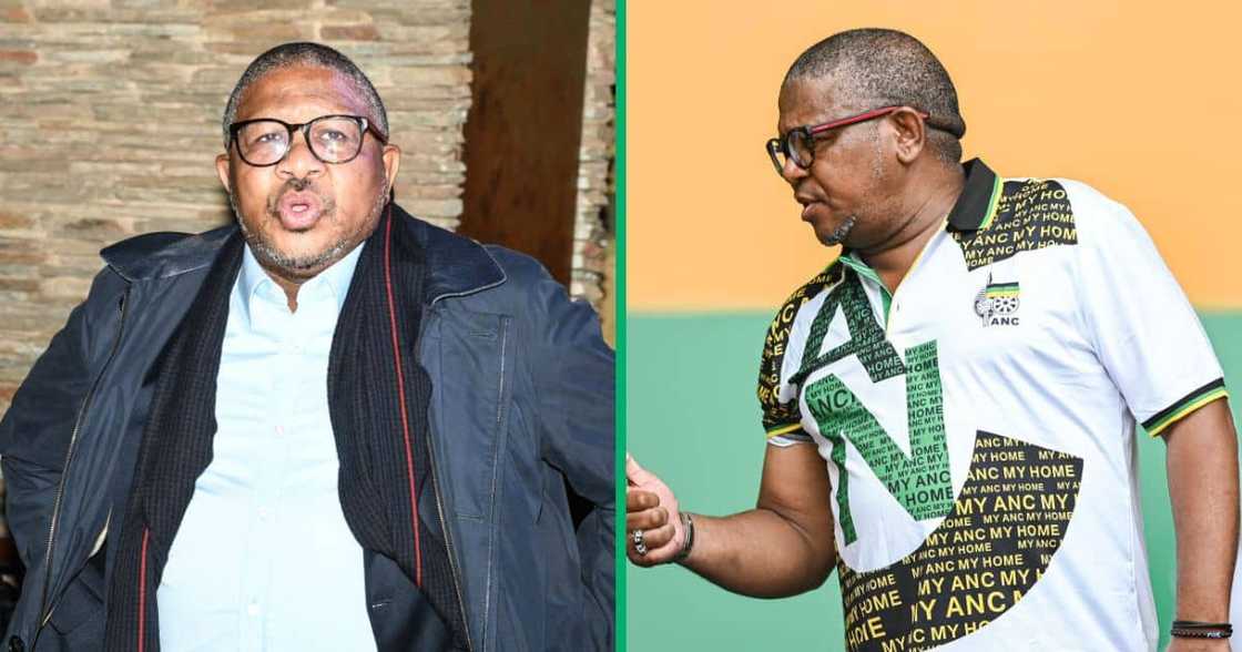 Fikile Mbalula slammed the Western Cape's government while wooing voters Fikile Mbalula slammed the Western Cape's government while wooing voters