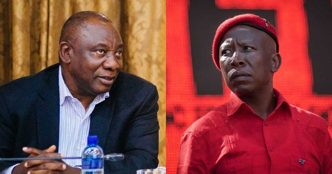 Julius Malema, calls, permanent, increase, Social Relief of Distress grant, Cyril Ramaphosa