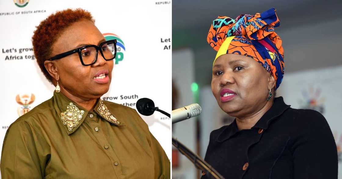 Minister of Social Development Lindiwe Zulu Minister of Social Development Lindiwe Zulu