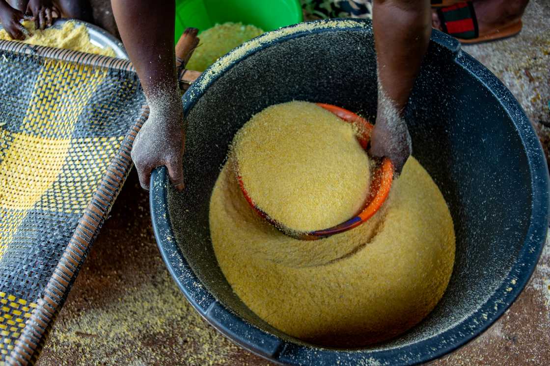 Maize meal cost a South African in USA double the price