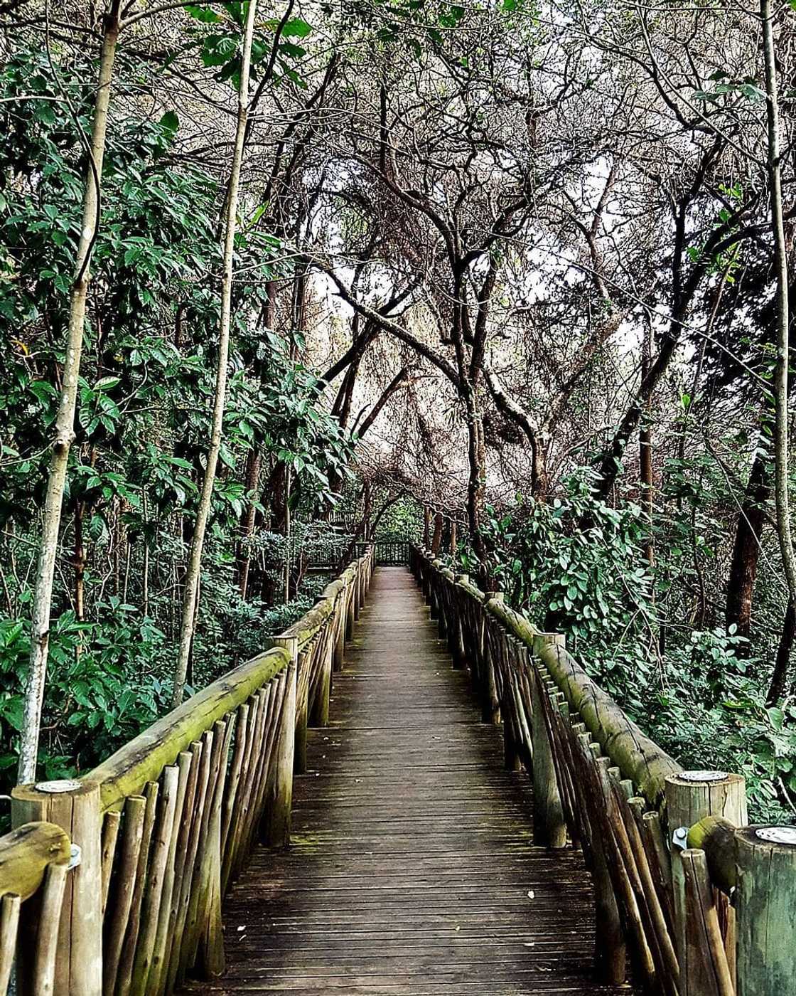 10 fun and interesting things to do in Nelspruit 10 fun and interesting things to do in Nelspruit