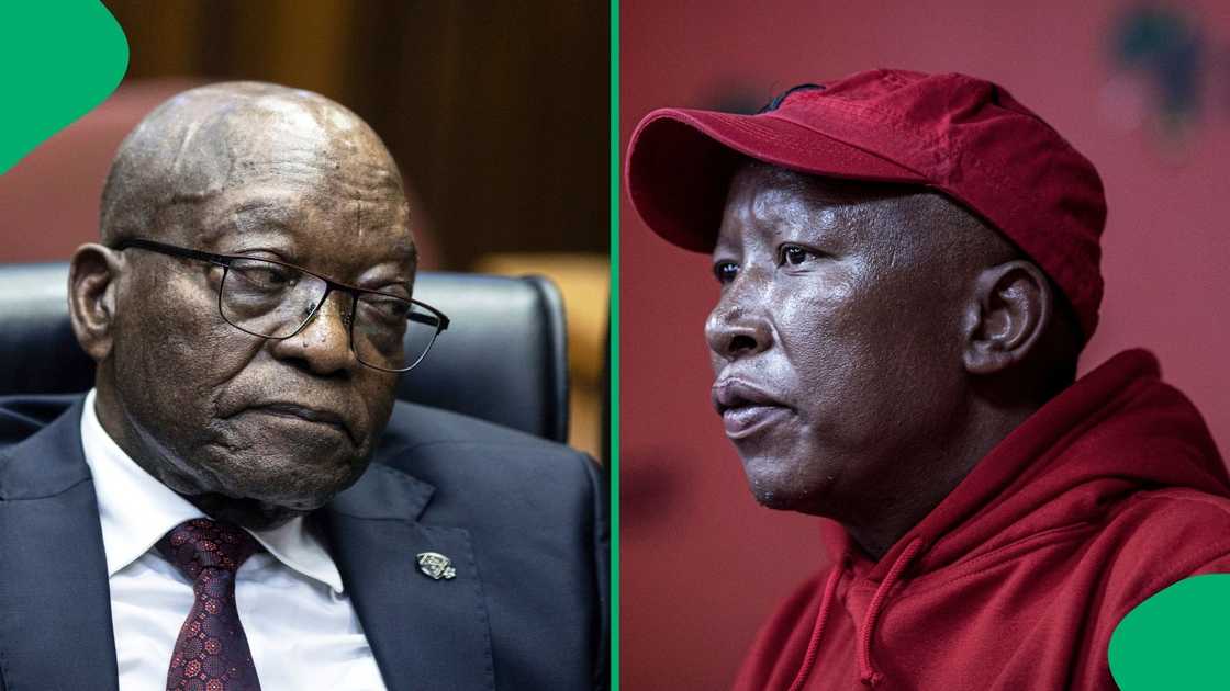 Julius Malema clarified that he had no relationship with Jacob Zuma Julius Malema clarified that he had no relationship with Jacob Zuma