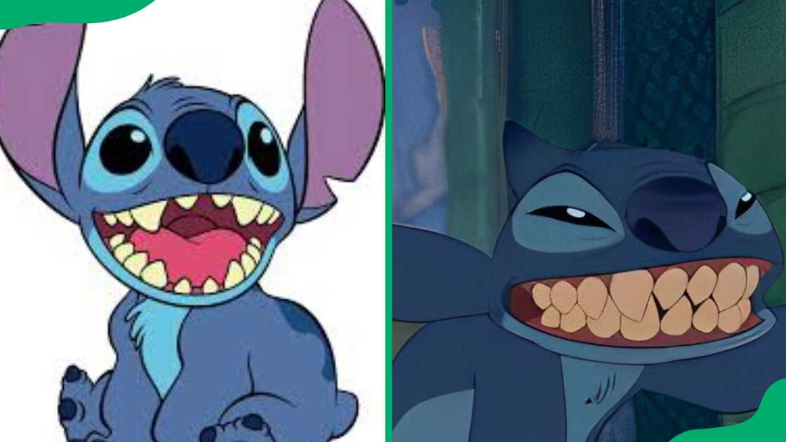 Stitch from Lilo & Stitch