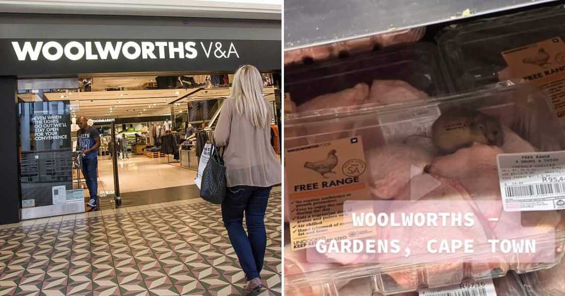 Woolies launches probe into viral rat video Woolies launches probe into viral rat video