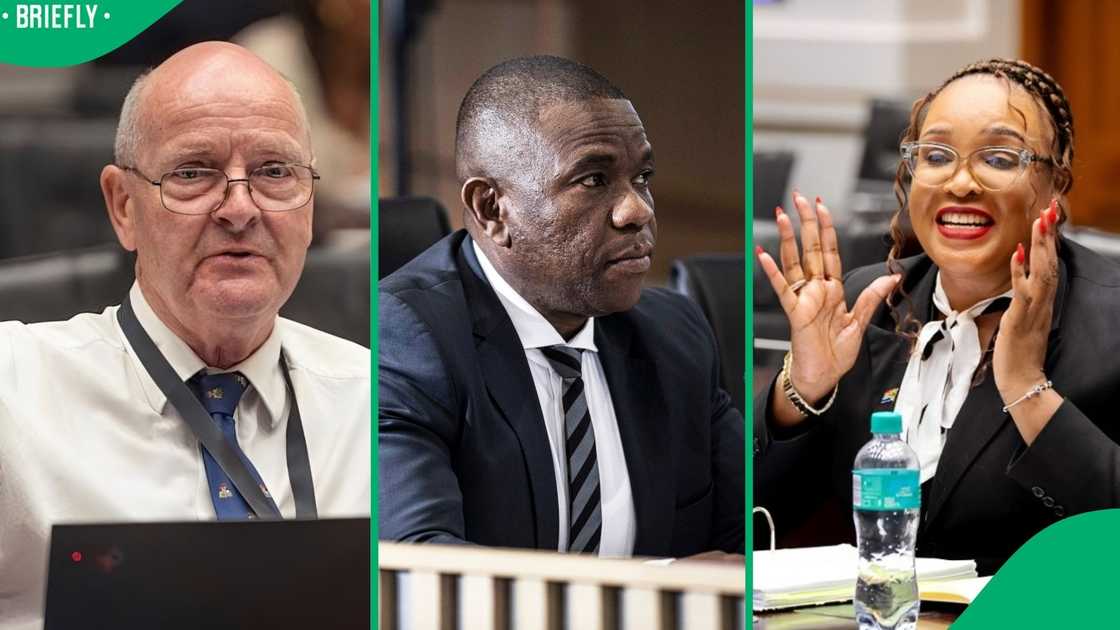 The Ad Hoc Committee served the nation with unforgettable moments from MPs and witnesses