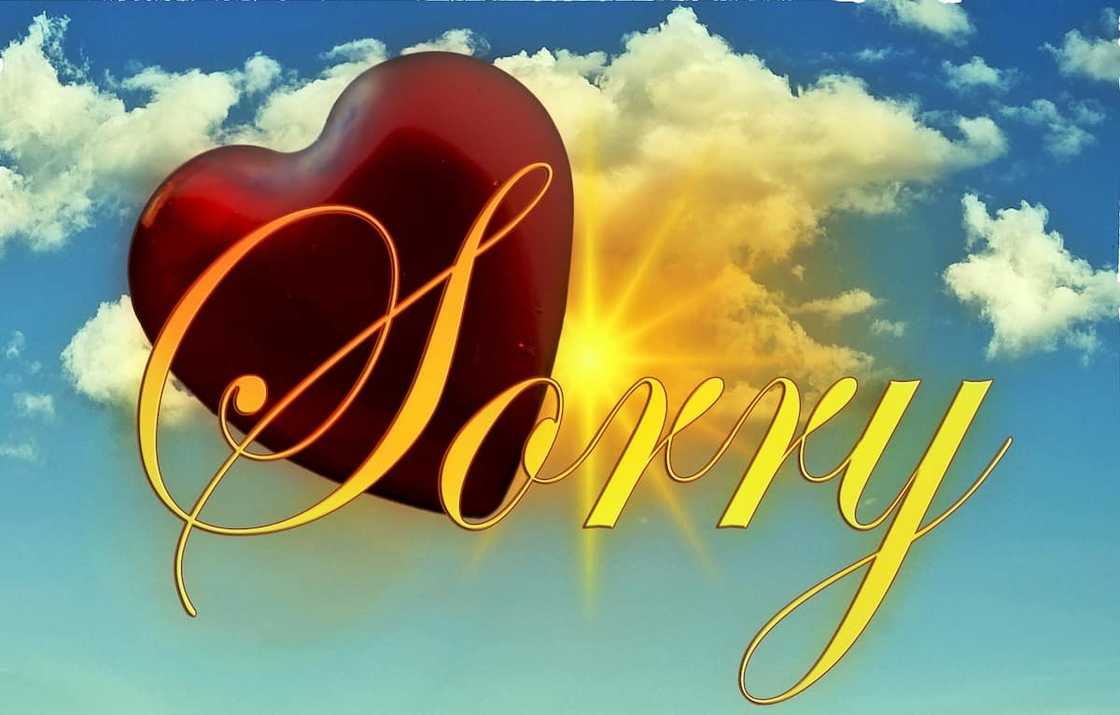 40 melting I am sorry quotes with images 2019