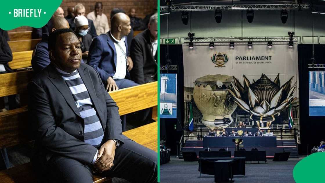 Suspended National Commissioner Fannie Masemola was allegedly set up to lie before the Ad Hoc Committee in Parliament Suspended National Commissioner Fannie Masemola was allegedly set up to lie before the Ad Hoc Committee in Parliament