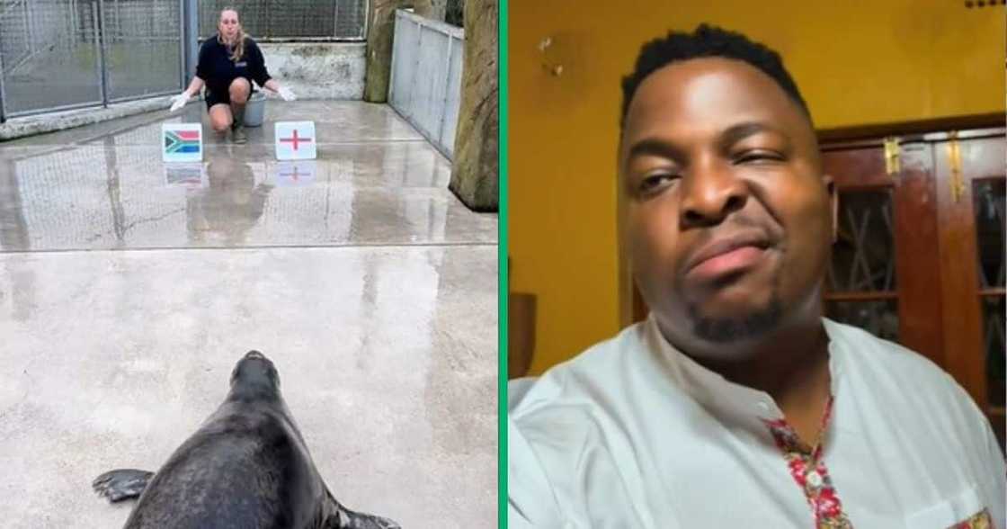 RWC 2023 seal prediction roasted by SA RWC 2023 seal prediction roasted by SA