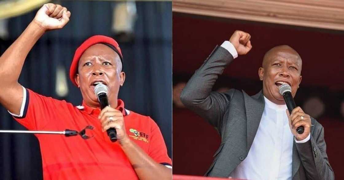 Casac: Julius Malema in Breach of Ethics Code, Should Be Removed as JSC Member Casac: Julius Malema in Breach of Ethics Code, Should Be Removed as JSC Member