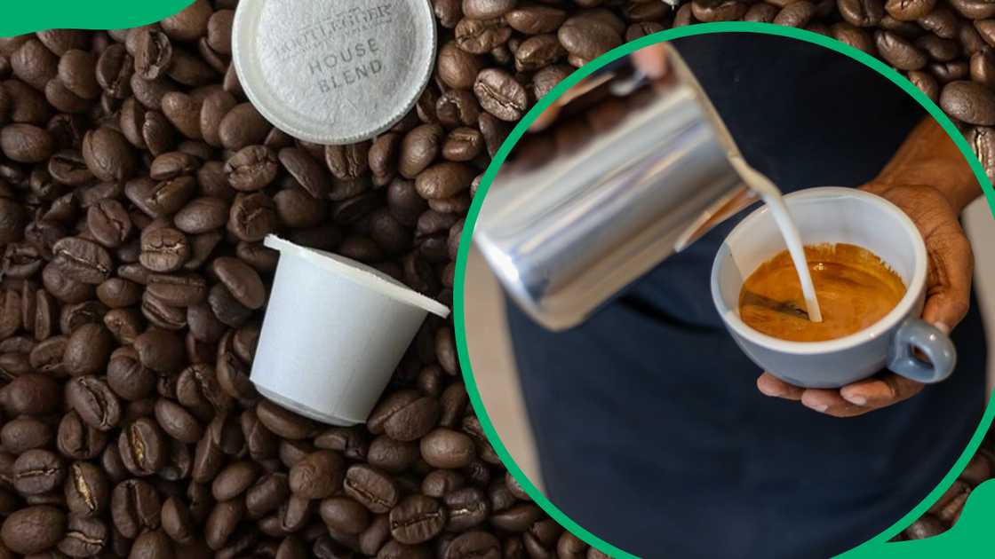 Bootlegger coffee Bootlegger coffee