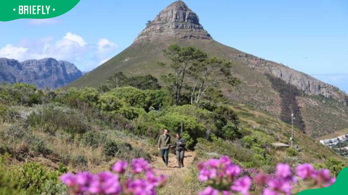 Signal Hill is a picnic venue in Cape Town Signal Hill is a picnic venue in Cape Town
