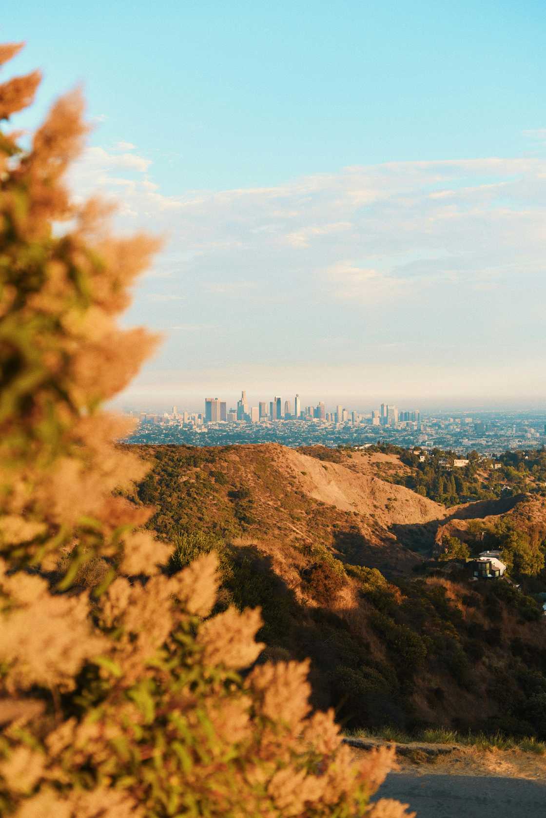 American says Cape Town is like Los Angeles