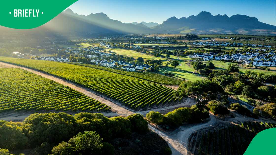 Stellenbosch's R2.6m homes contrast sharply with thousands living on R370 grant