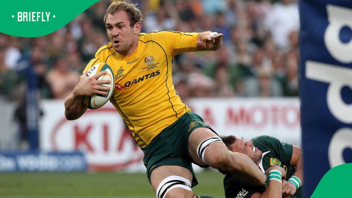 Wallabies, Australia, Rocky Elsom, Springboks, South Africa