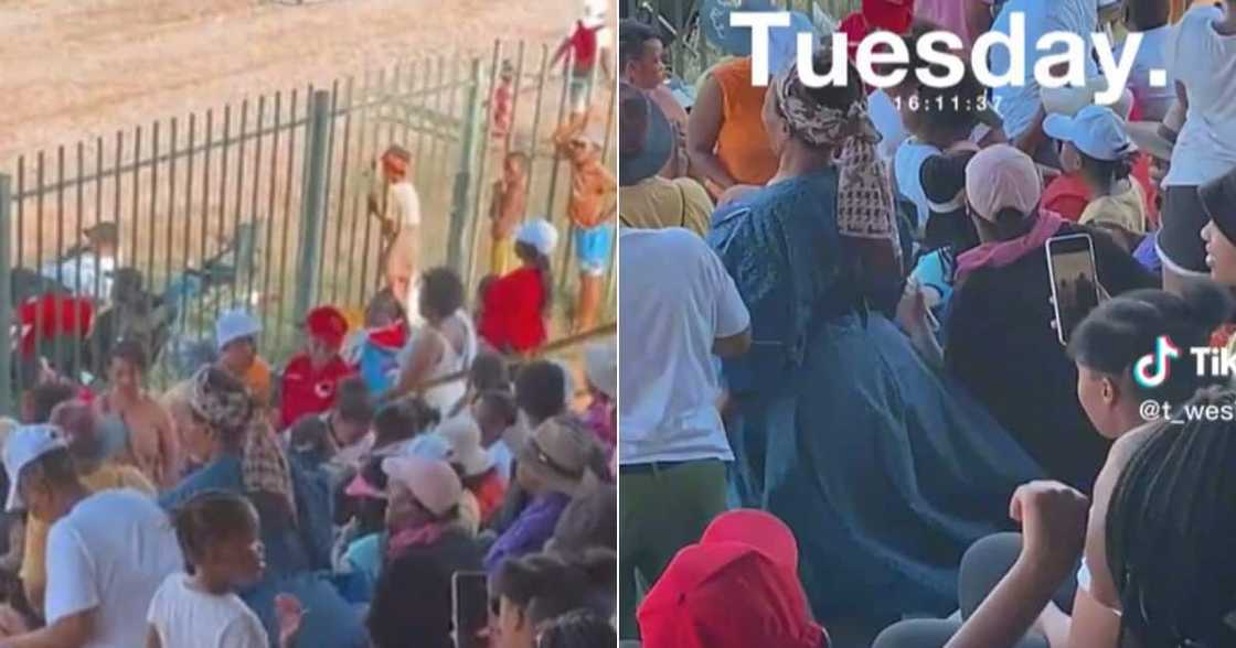 Woman goes viral after dancing in crowd Woman goes viral after dancing in crowd