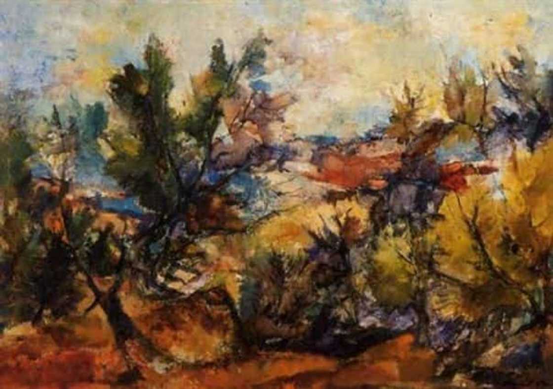 south african artist south african artist