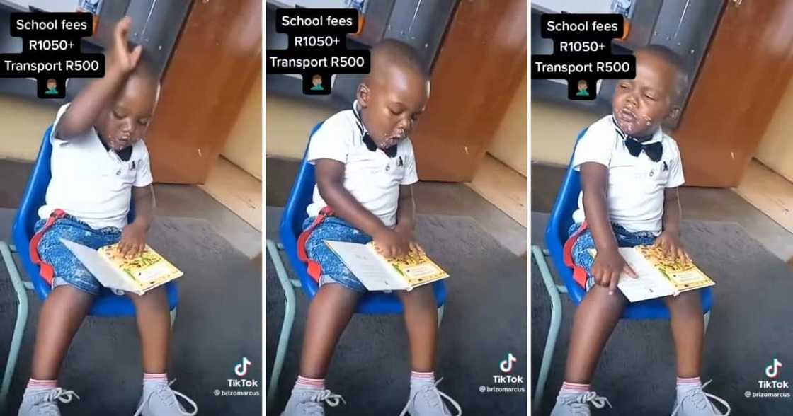 A toddler read a book in gibberish A toddler read a book in gibberish
