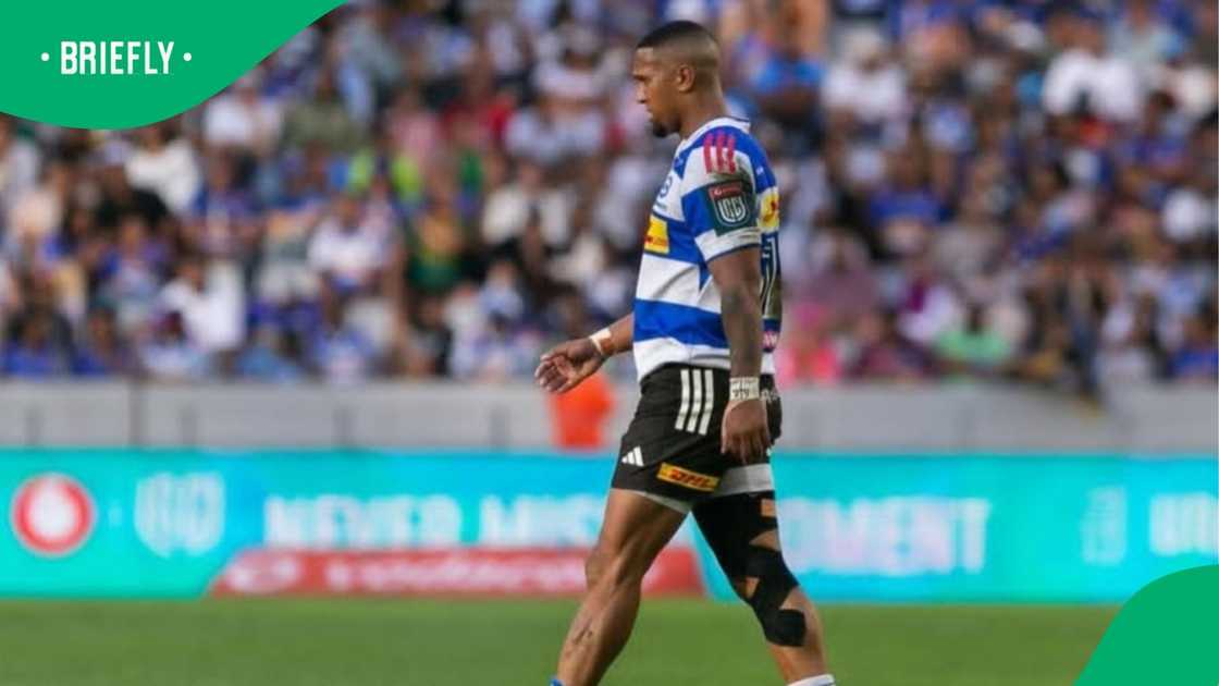 Leolin Zas, Stormers, United Rugby Championship Leolin Zas, Stormers, United Rugby Championship