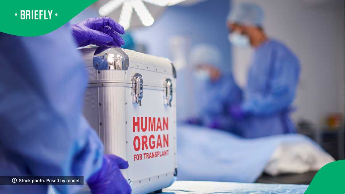 One of the first heart transplant surgeries was conducted in Mzansi. One of the first heart transplant surgeries was conducted in Mzansi.