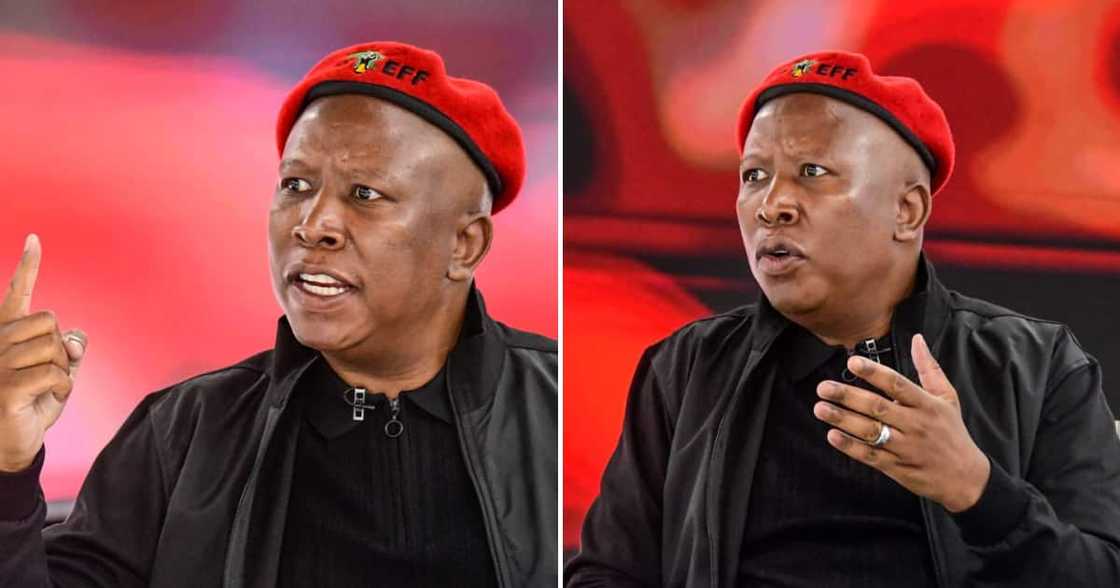 EFF leader Julius Malema says the ANC lacks credibility