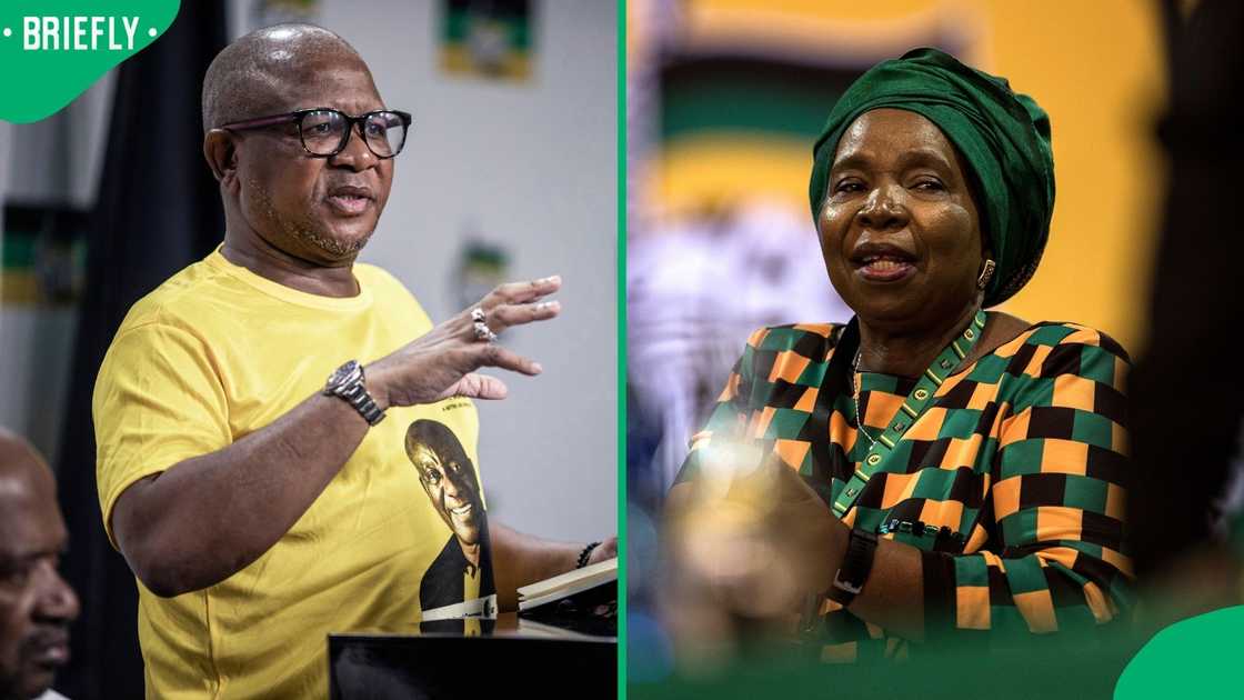 Fikile Mbalula has weighed in on allegations made by Nkosazana Dlamini-Zuma Fikile Mbalula has weighed in on allegations made by Nkosazana Dlamini-Zuma