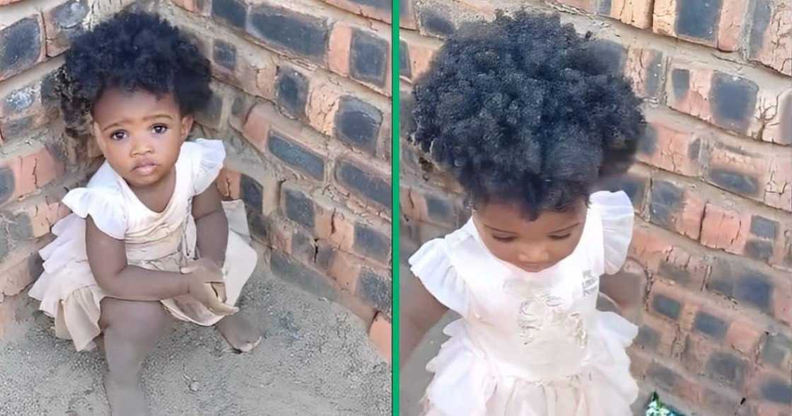 TikTok video of kid playing TikTok video of kid playing