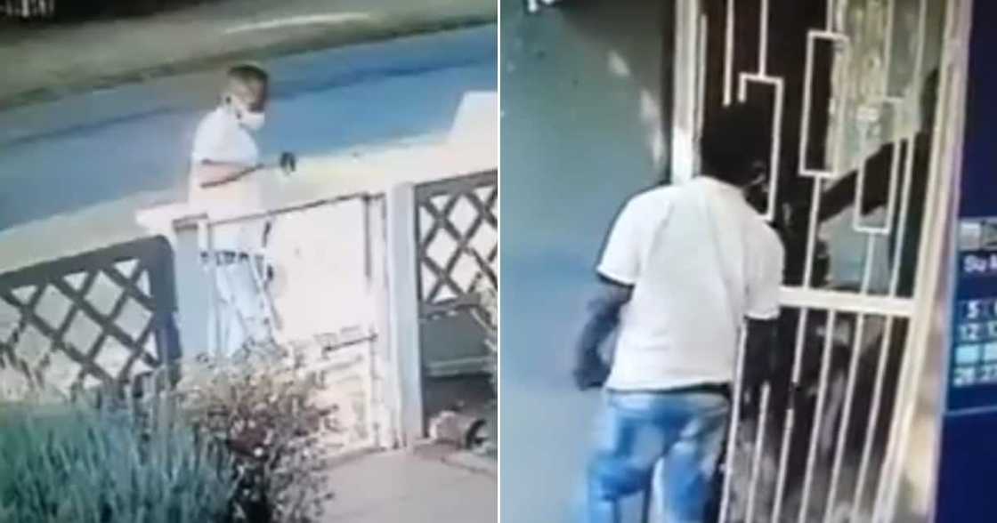 Thief, social media, hilerious, footage Thief, social media, hilerious, footage