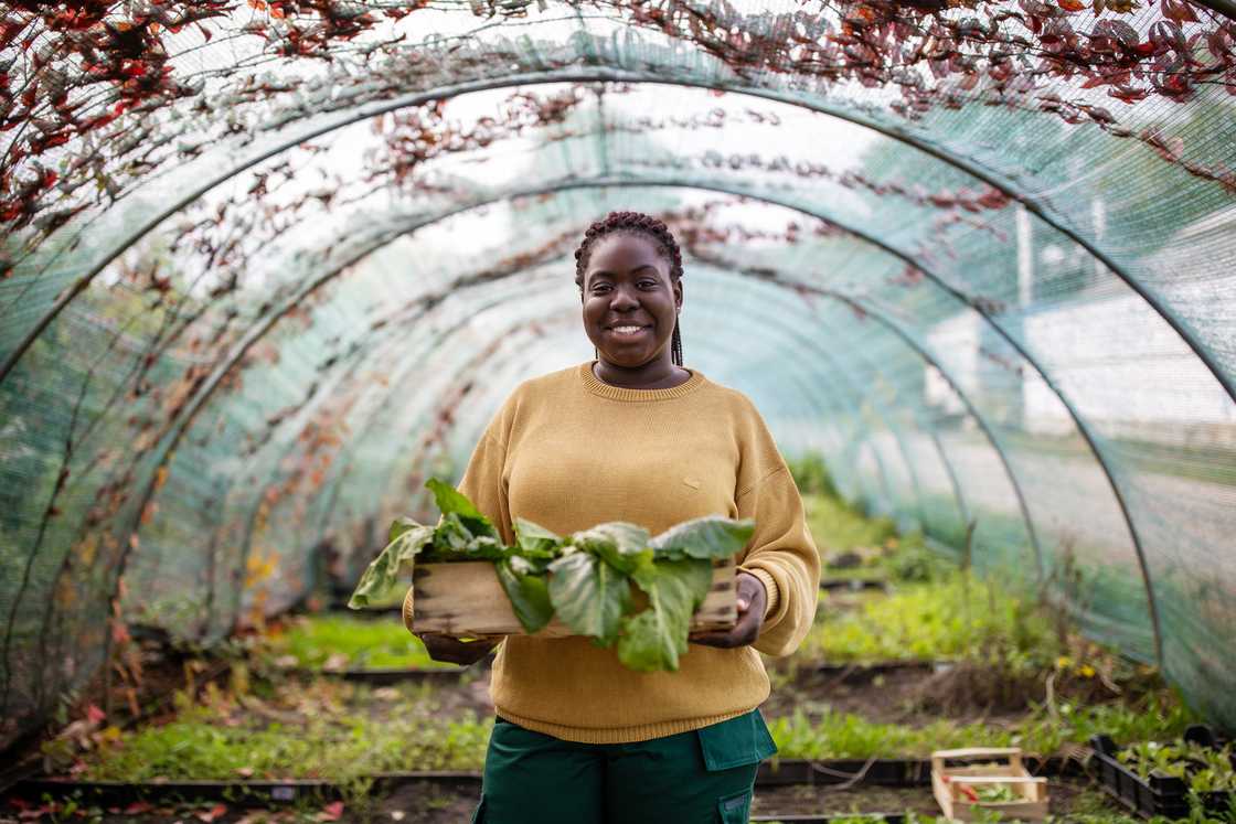 A relaxed woman holding plants crate A relaxed woman holding plants crate