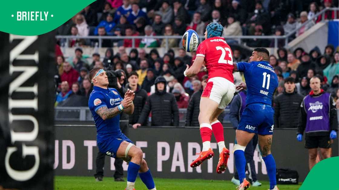 Wales, Monty Ioane, Italy, Josh Hathaway