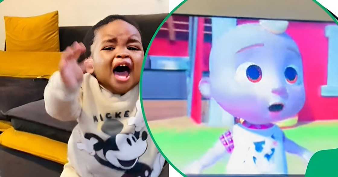 Cocomelon loses a a fan Cocomelon loses a a fan