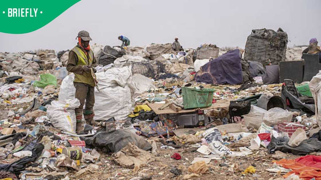dumping site dumping site