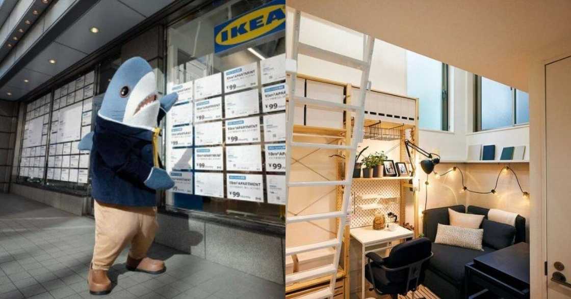 Ikea Japan, tiny homes, cost-effective, R13.62, rent, lease Ikea Japan, tiny homes, cost-effective, R13.62, rent, lease
