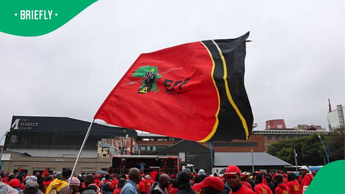 EFF flag