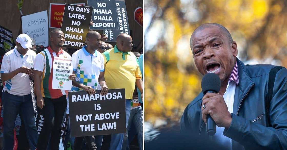 Phala Phala report Phala Phala report