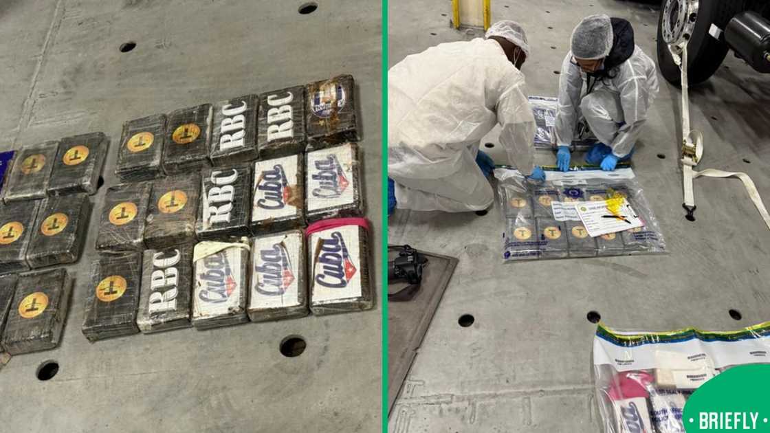 SAPS drug bust