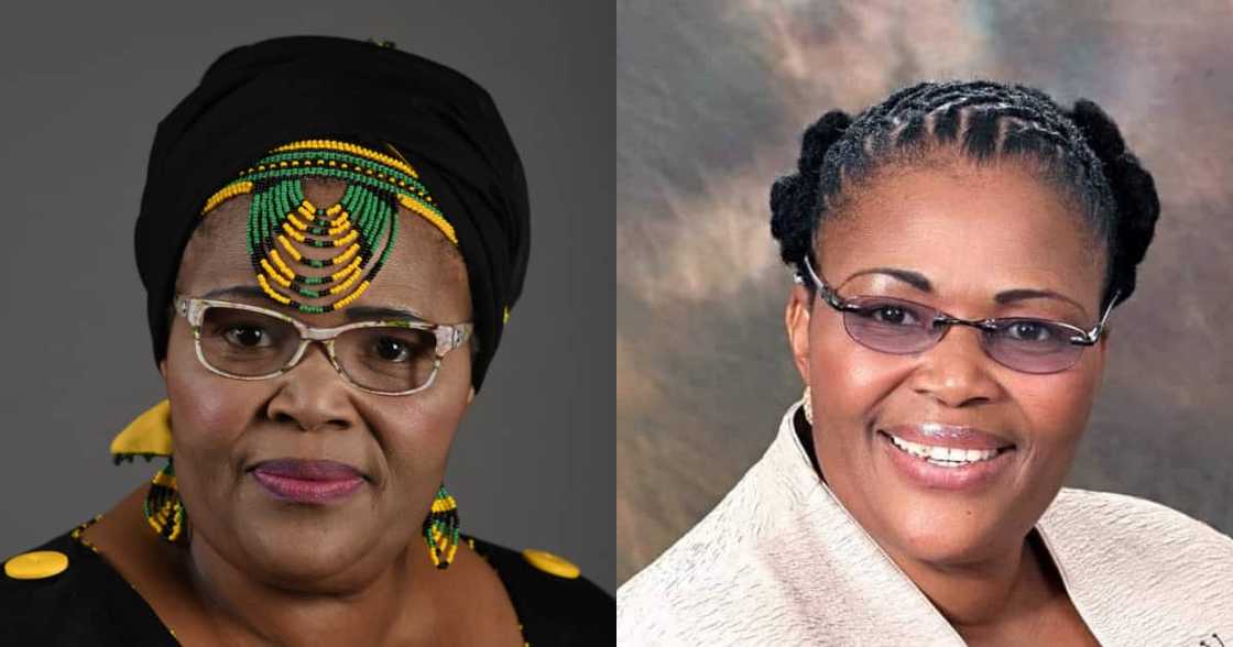 Chaos erupts at Pan African Parliament with fistfights and flying kicks Chaos erupts at Pan African Parliament with fistfights and flying kicks