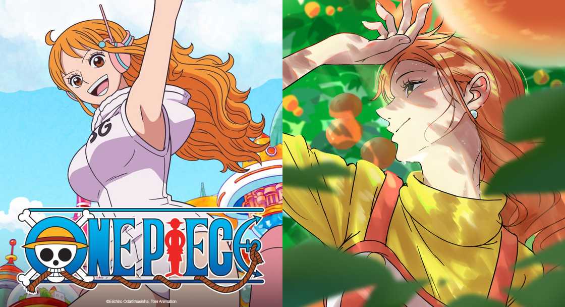 Nami from One Piece Nami from One Piece