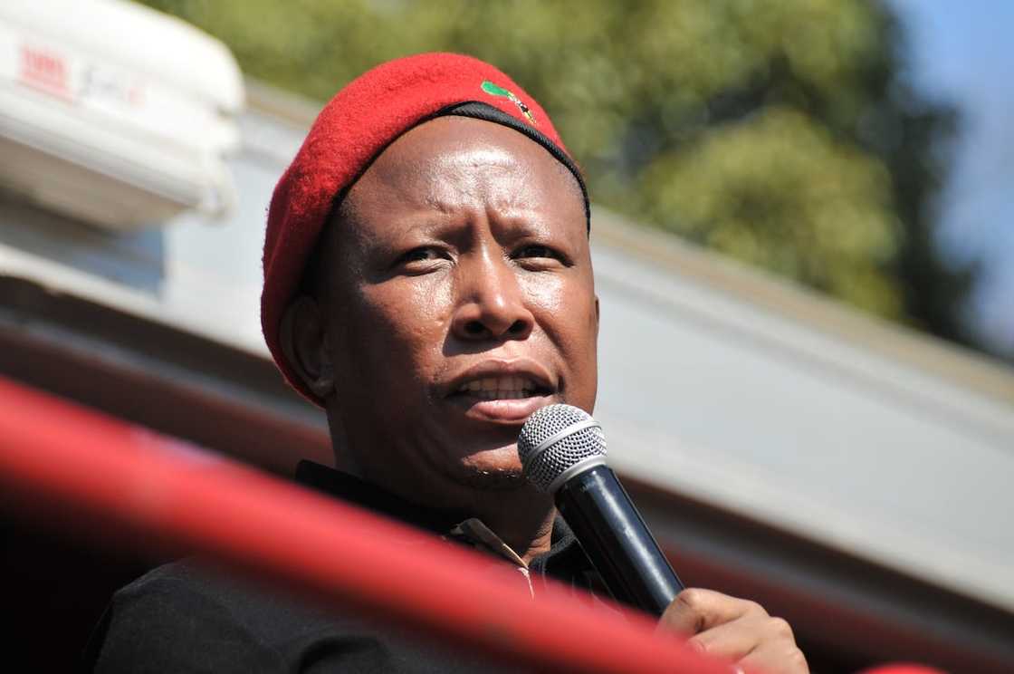 Supreme Court of Appeal, Julius Malema, defamation, lawsuit