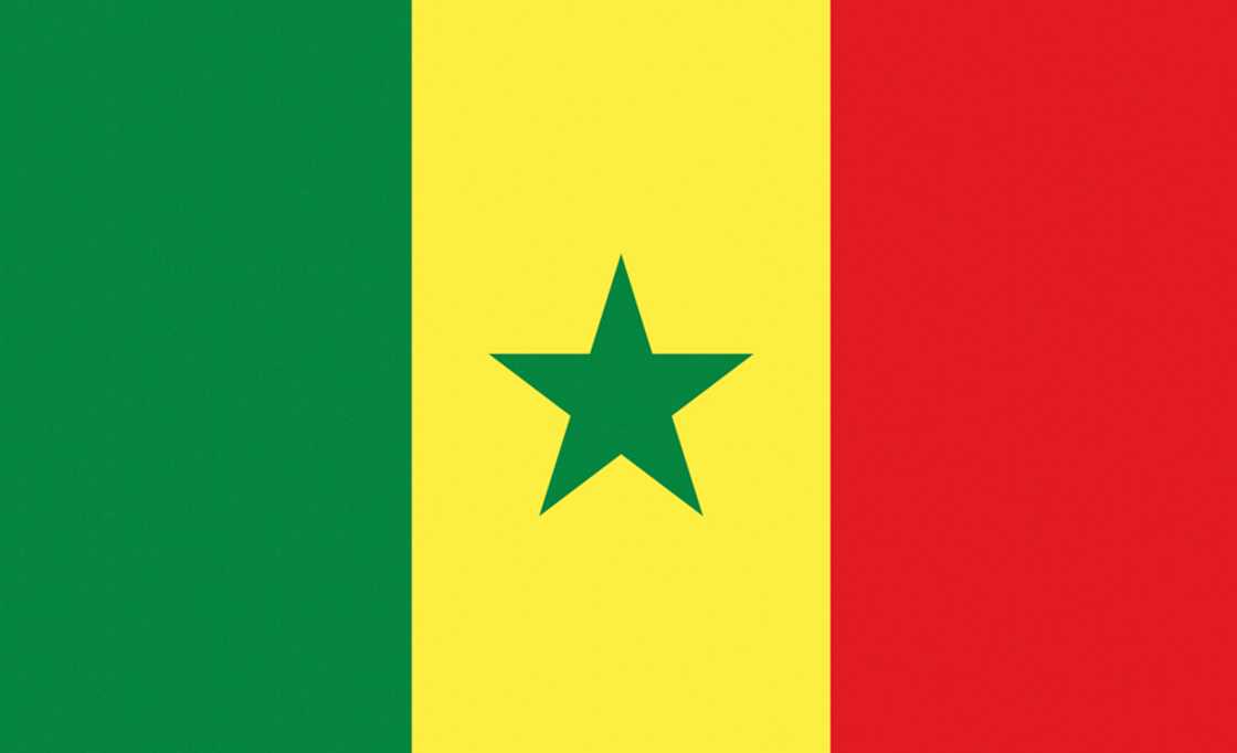The flag of Senegal