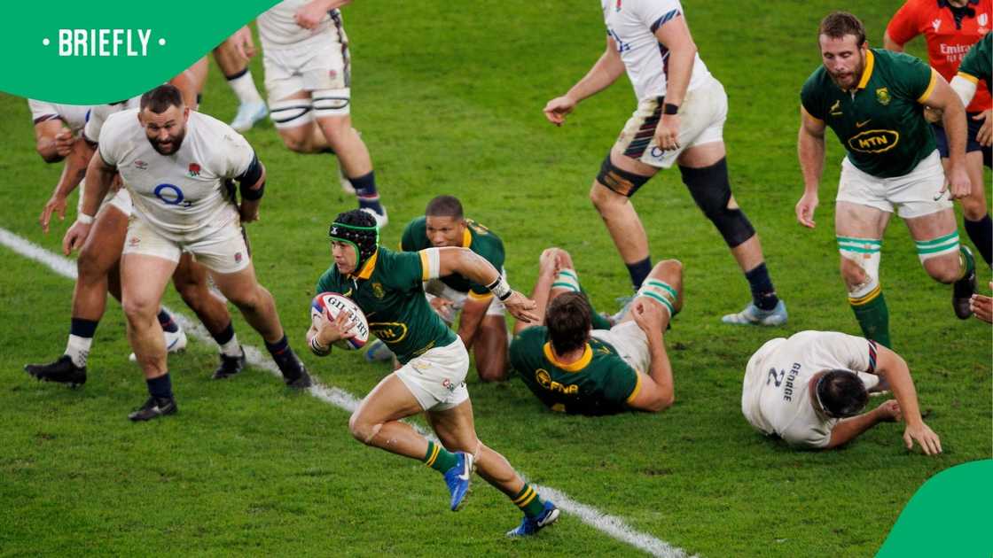 Cheslin Kolbe is a skilful winger for the Springboks.