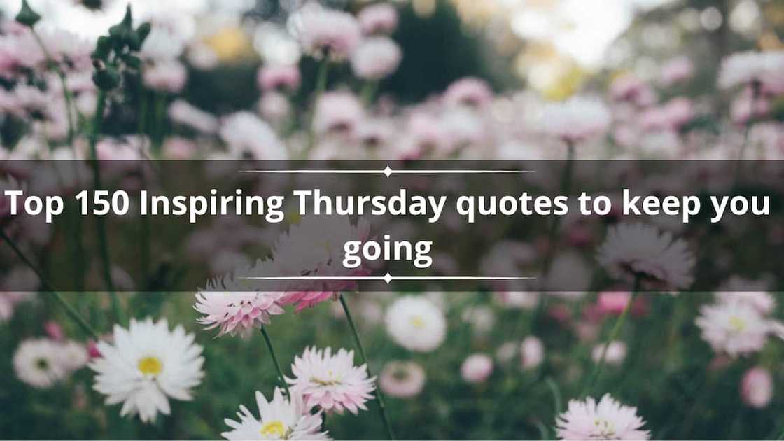 Thursday quotes