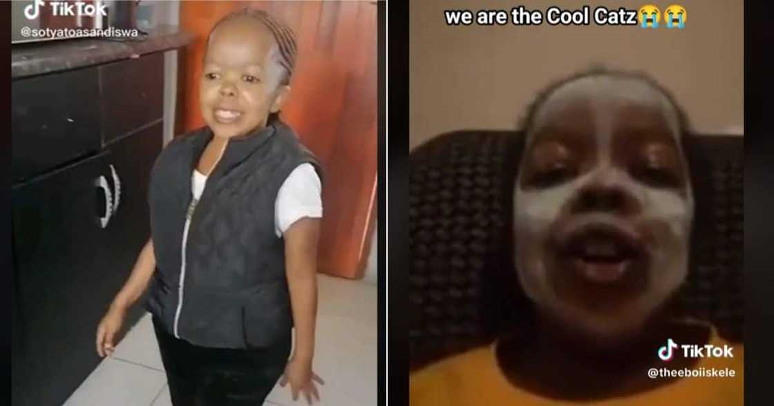 Vovo sing Etv's 'Cool Catz' Vovo sing Etv's 'Cool Catz'