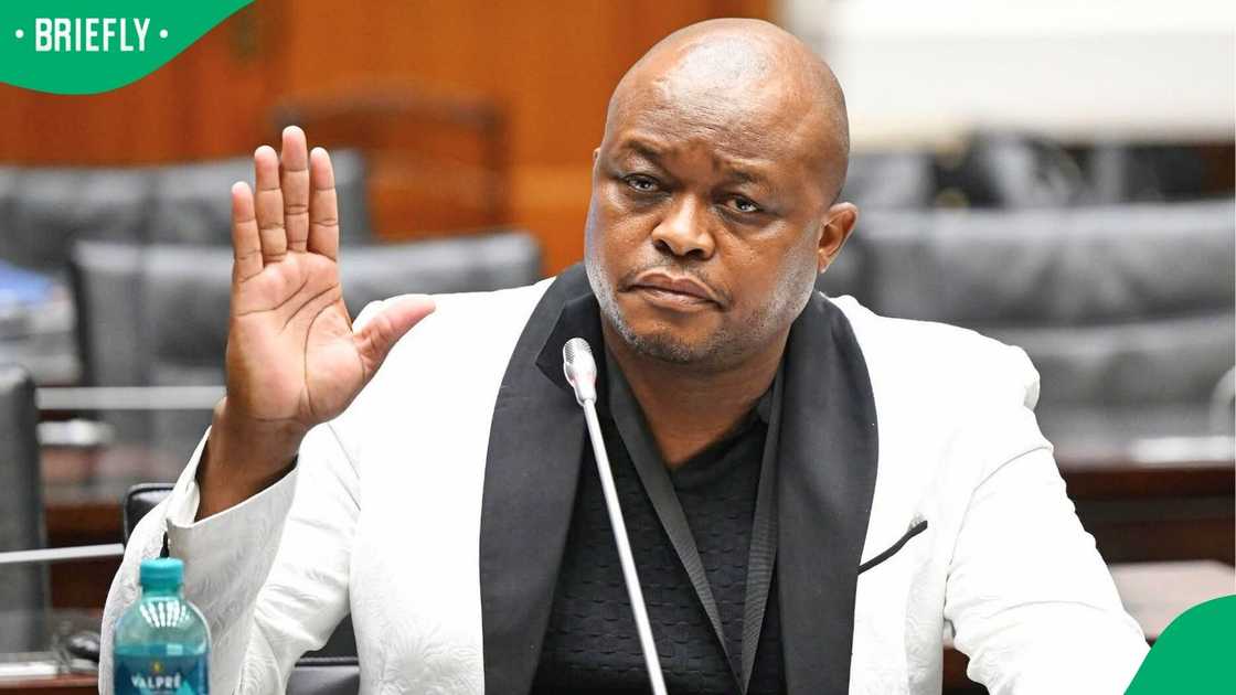 Brown Mogotsi failed to appear before the Madlanga Commission